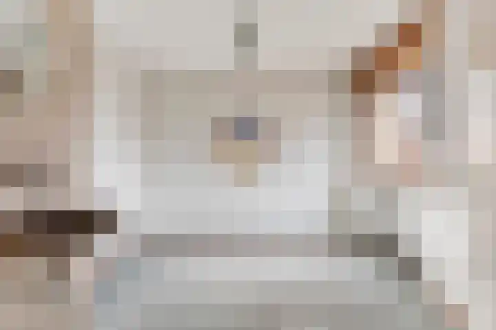 Haviksdonk 43 Veghel thumbnail 25
