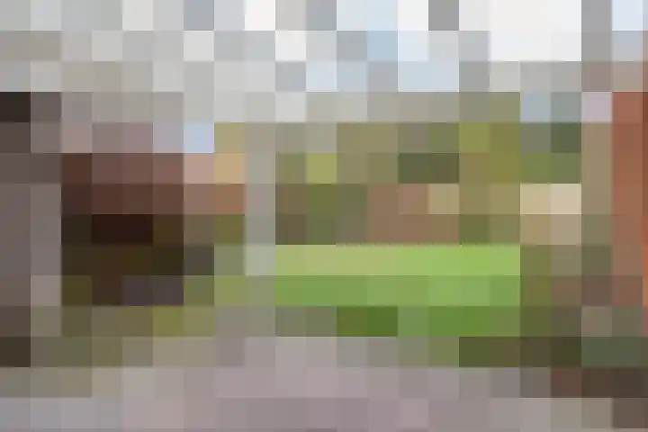 Haviksdonk 43 Veghel thumbnail 33