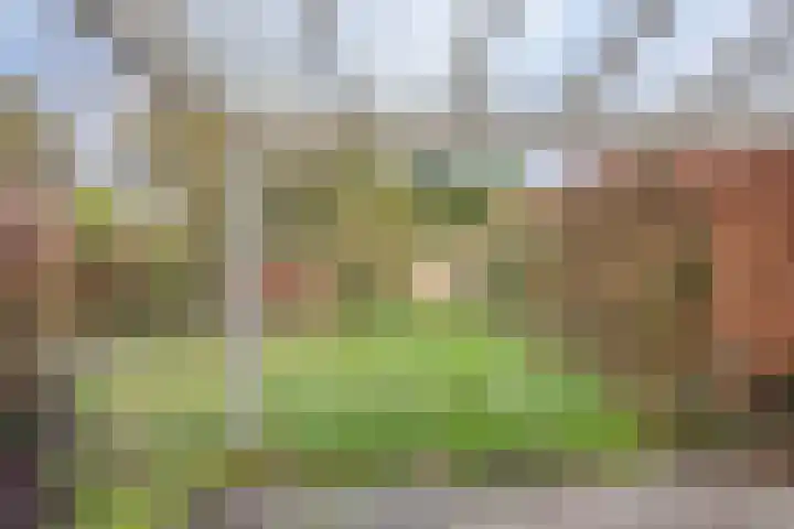 Haviksdonk 43 Veghel thumbnail 34