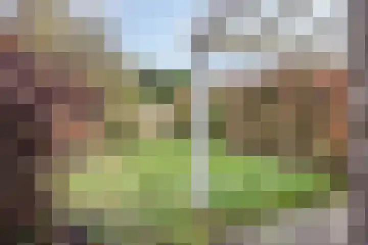Haviksdonk 43 Veghel thumbnail 35