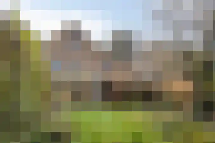Haviksdonk 43 Veghel thumbnail 36