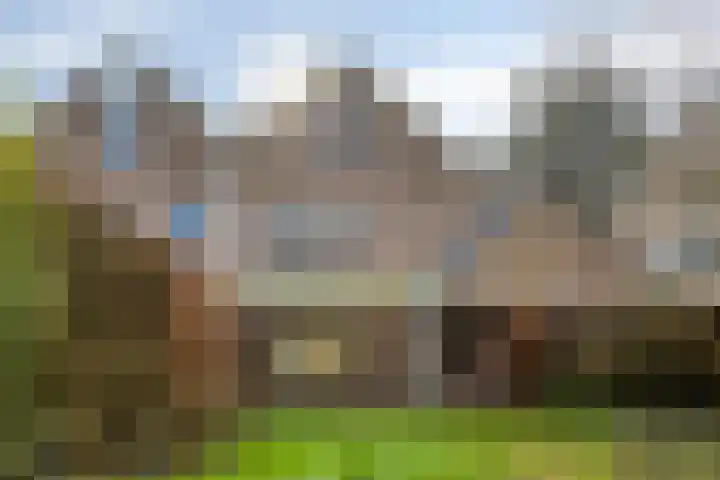 Haviksdonk 43 Veghel thumbnail 37