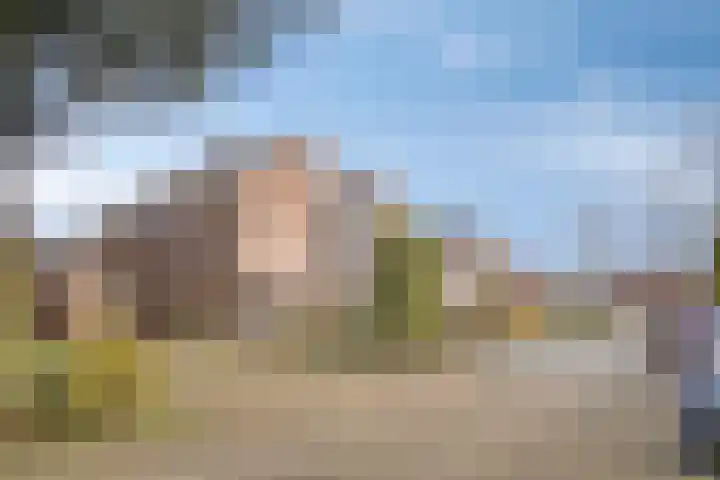 Haviksdonk 43 Veghel thumbnail 38
