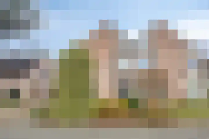 Haviksdonk 43 Veghel thumbnail 39