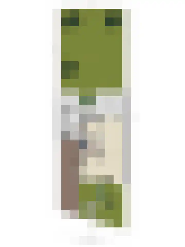 Haviksdonk 43 Veghel thumbnail 40