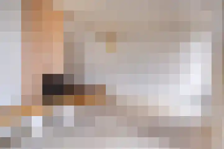 Haviksdonk 43 Veghel thumbnail 5