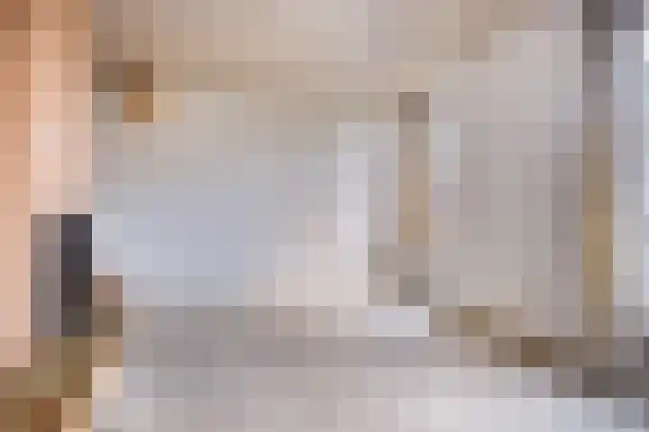 Haviksdonk 43 Veghel thumbnail 6