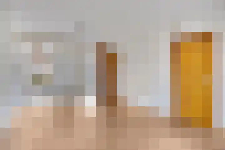 Haviksdonk 43 Veghel thumbnail 9