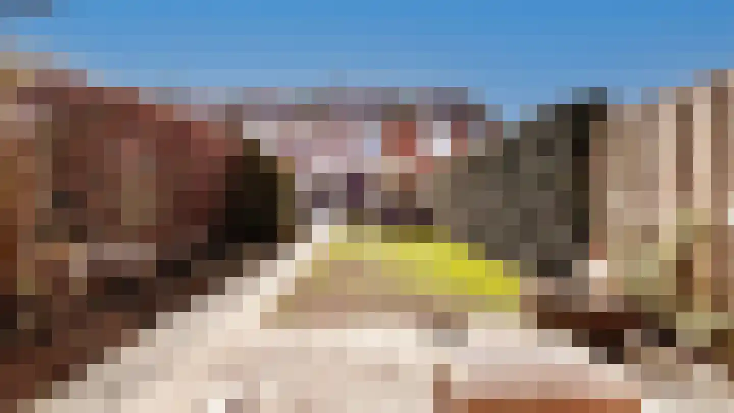 Havikserf 13 Voorschoten thumbnail 26
