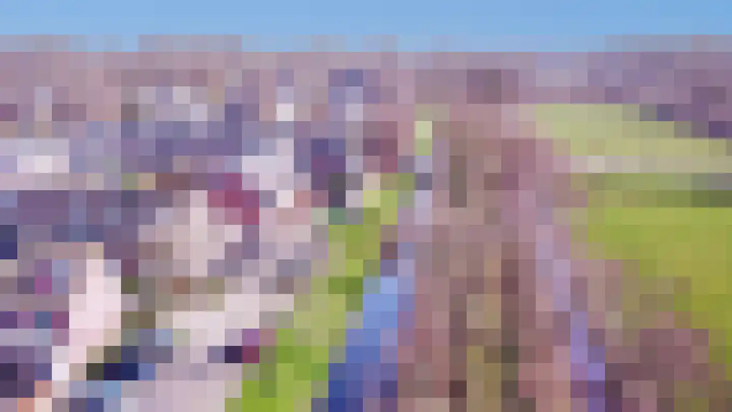 Havikserf 13 Voorschoten thumbnail 49