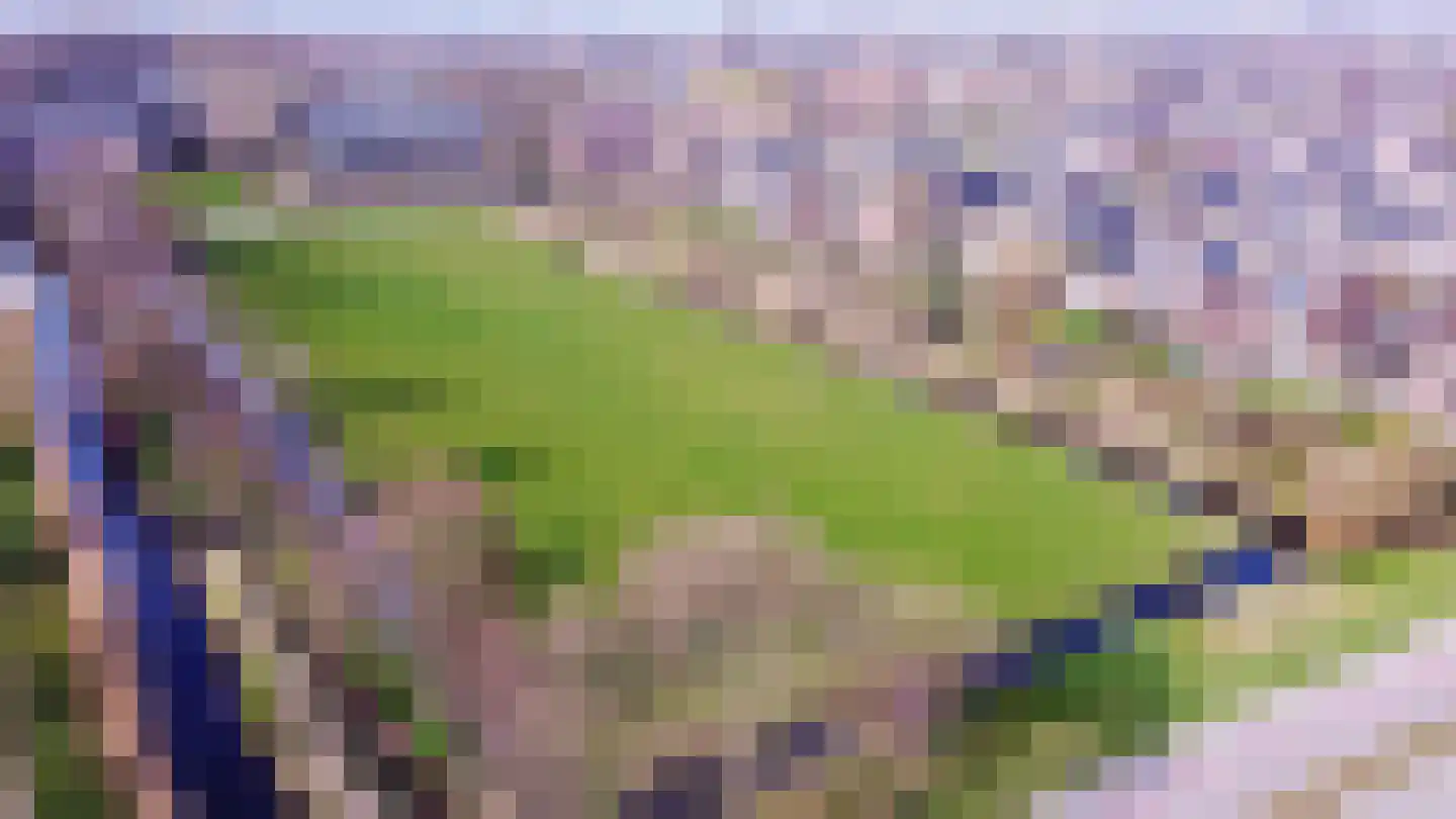 Havikserf 13 Voorschoten thumbnail 50