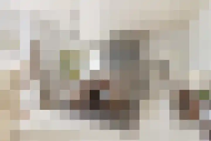 Havikshof 11 Ermelo thumbnail 10