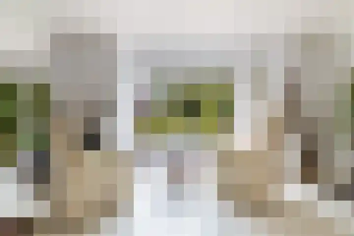 Havikshof 11 Ermelo thumbnail 12