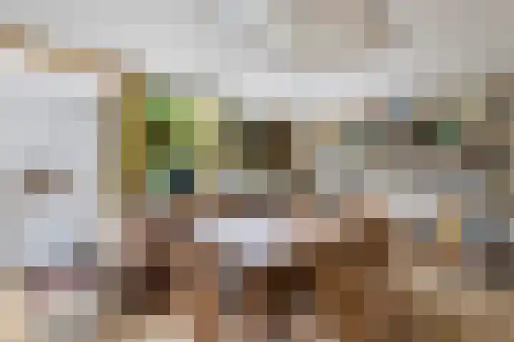 Havikshof 11 Ermelo thumbnail 18