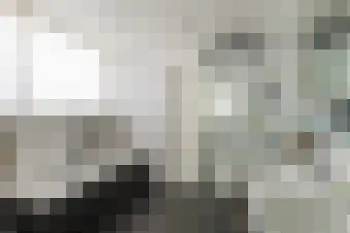 Havikshof 11 Ermelo thumbnail 29