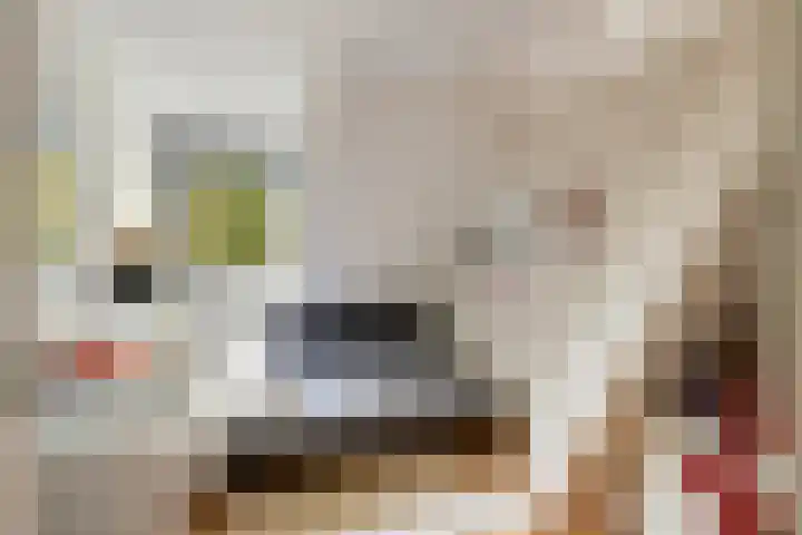 Havikshof 11 Ermelo thumbnail 31