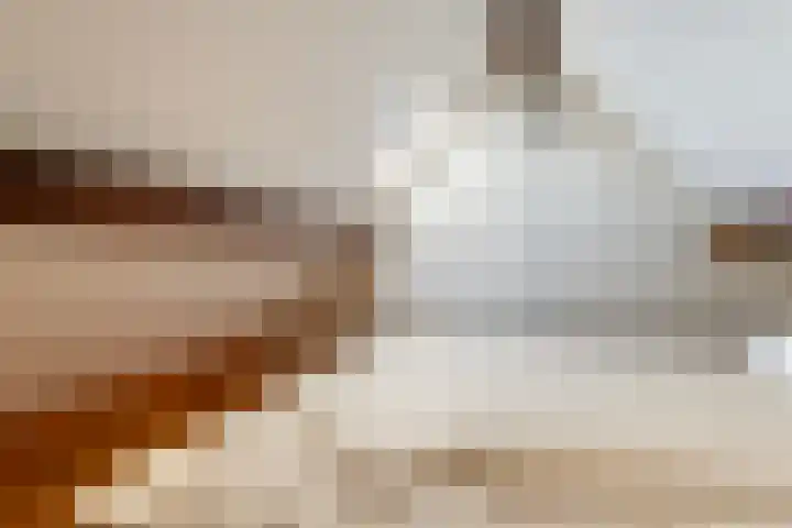 Havikshof 11 Ermelo thumbnail 33