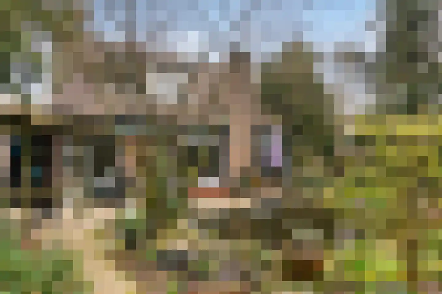 Havikshof 11 Ermelo thumbnail 39