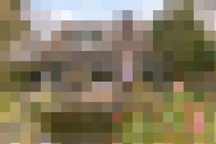 Havikshof 11 Ermelo thumbnail 4