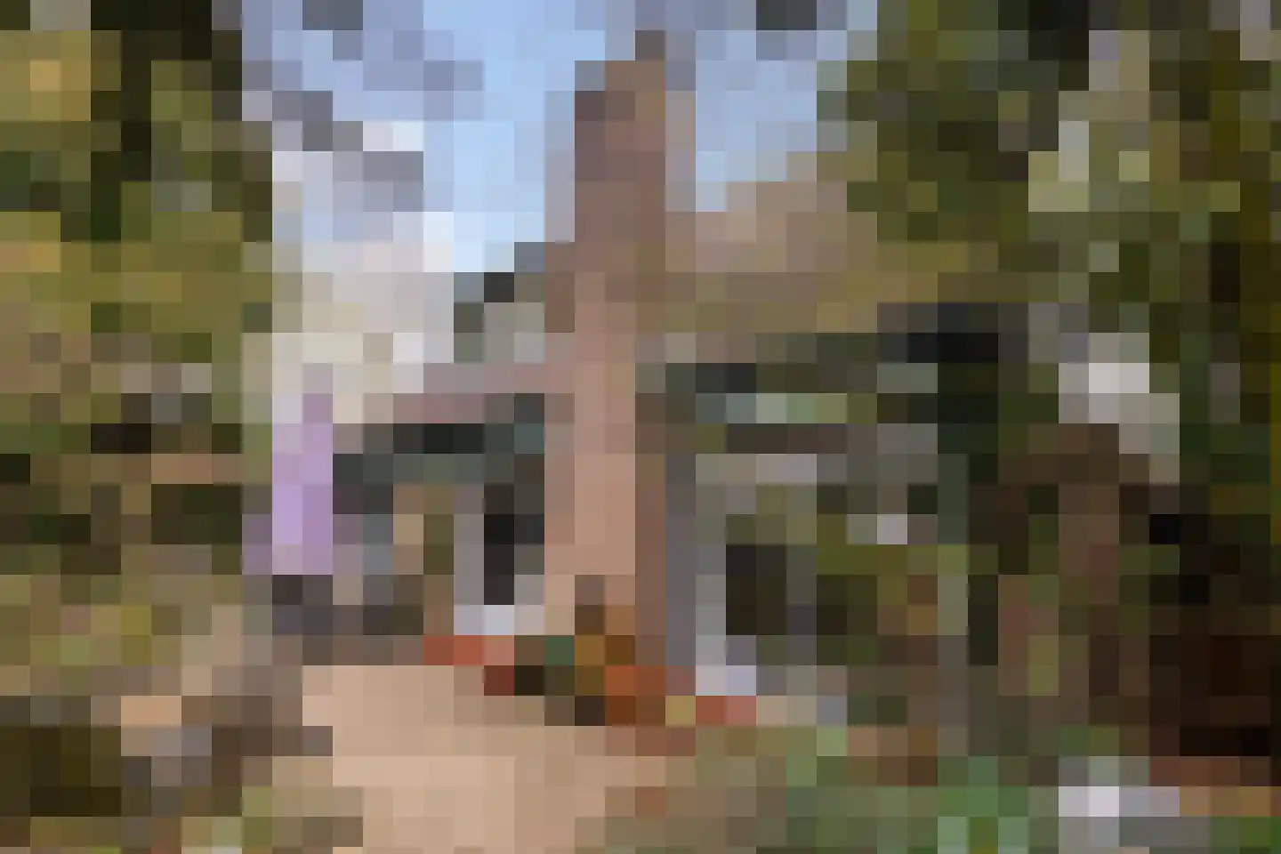 Havikshof 11 Ermelo thumbnail 42