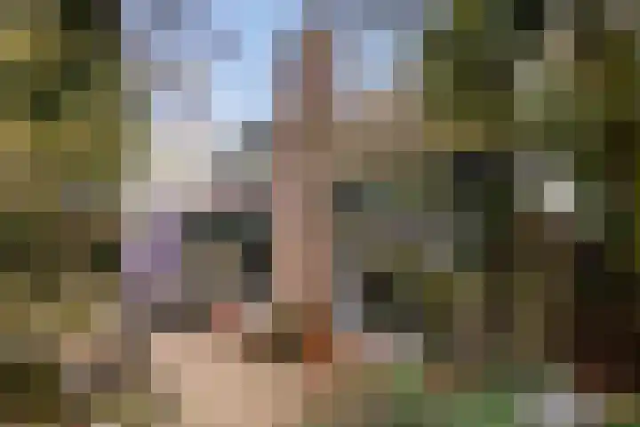 Havikshof 11 Ermelo thumbnail 42