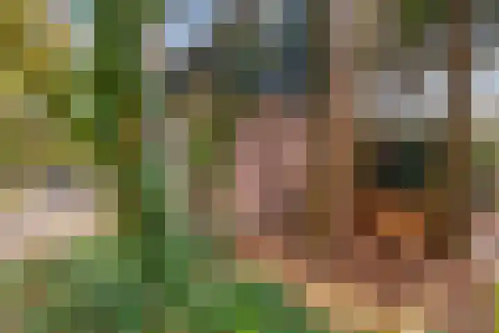 Havikshof 11 Ermelo thumbnail 43