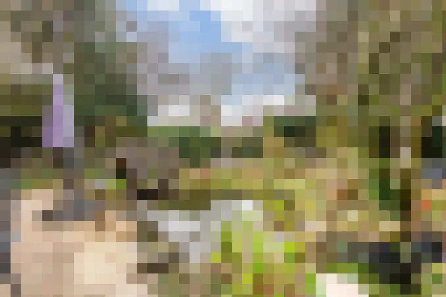 Havikshof 11 Ermelo thumbnail 45