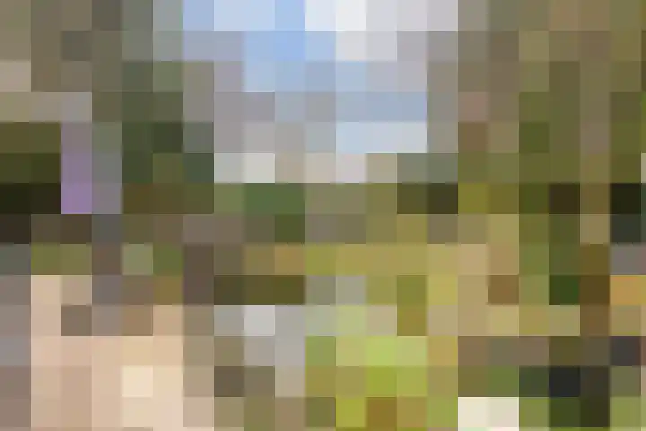 Havikshof 11 Ermelo thumbnail 45