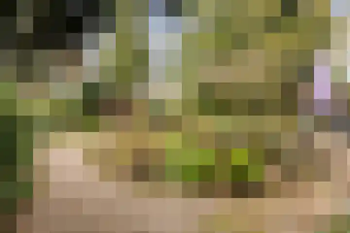 Havikshof 11 Ermelo thumbnail 46