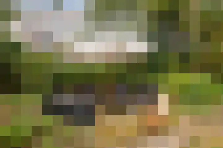 Havikshof 11 Ermelo thumbnail 47