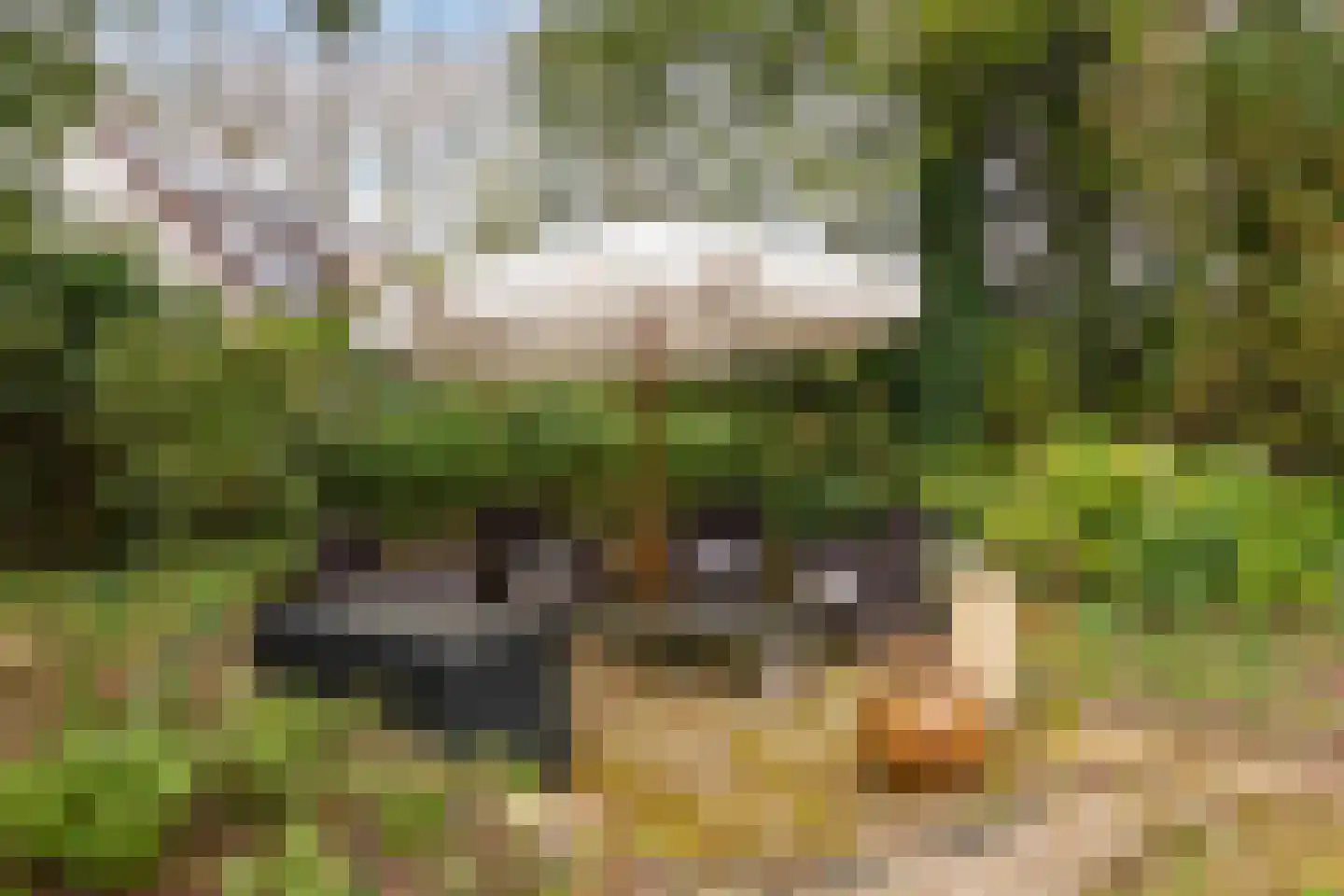 Havikshof 11 Ermelo thumbnail 47