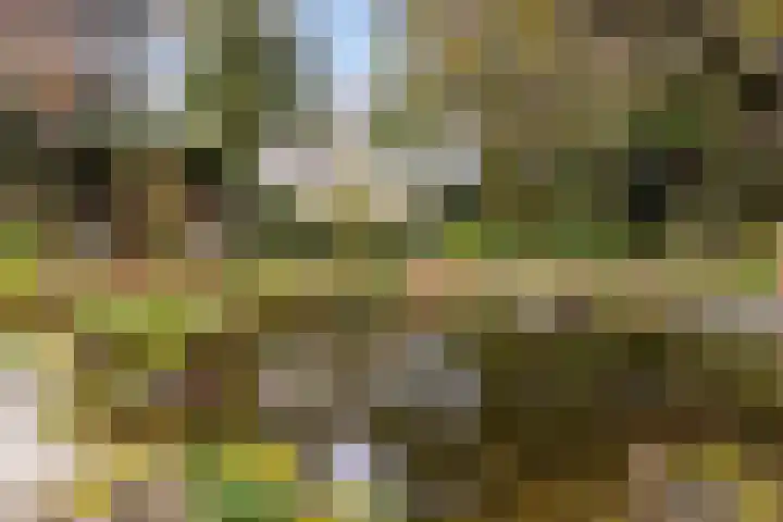Havikshof 11 Ermelo thumbnail 48