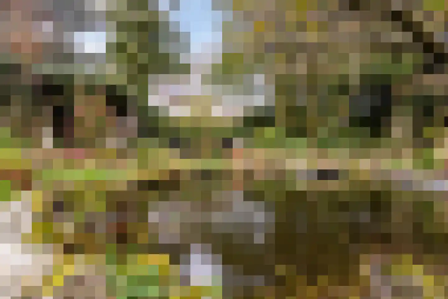 Havikshof 11 Ermelo thumbnail 48