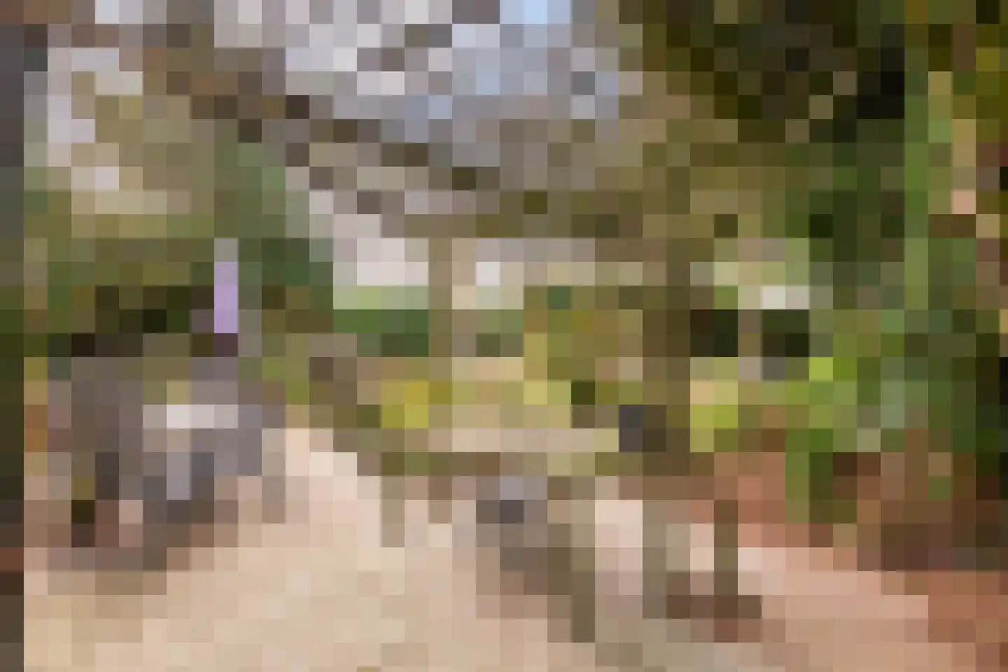 Havikshof 11 Ermelo thumbnail 49