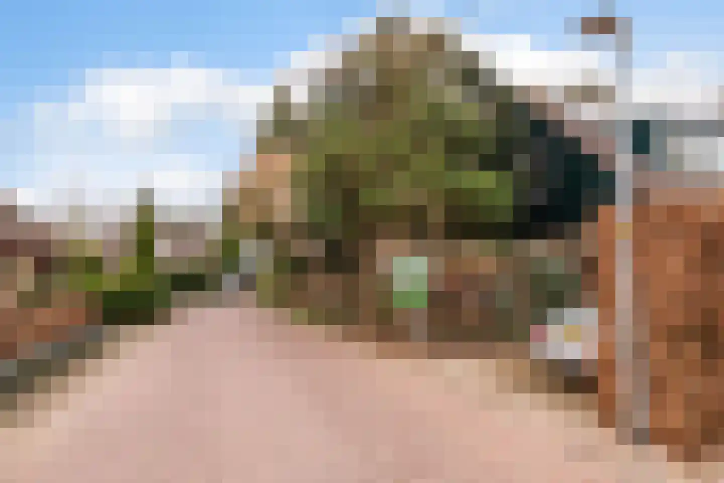 Havikshof 11 Ermelo thumbnail 51