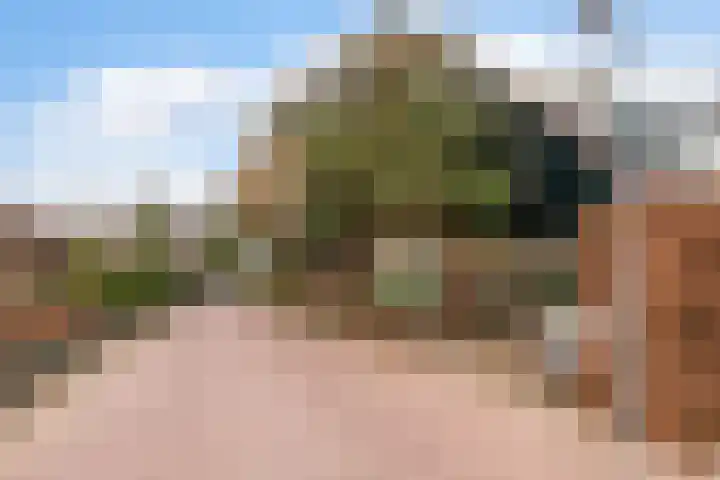 Havikshof 11 Ermelo thumbnail 51
