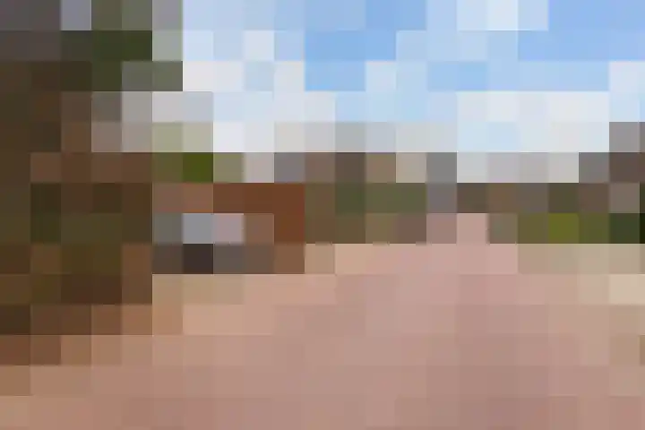 Havikshof 11 Ermelo thumbnail 52
