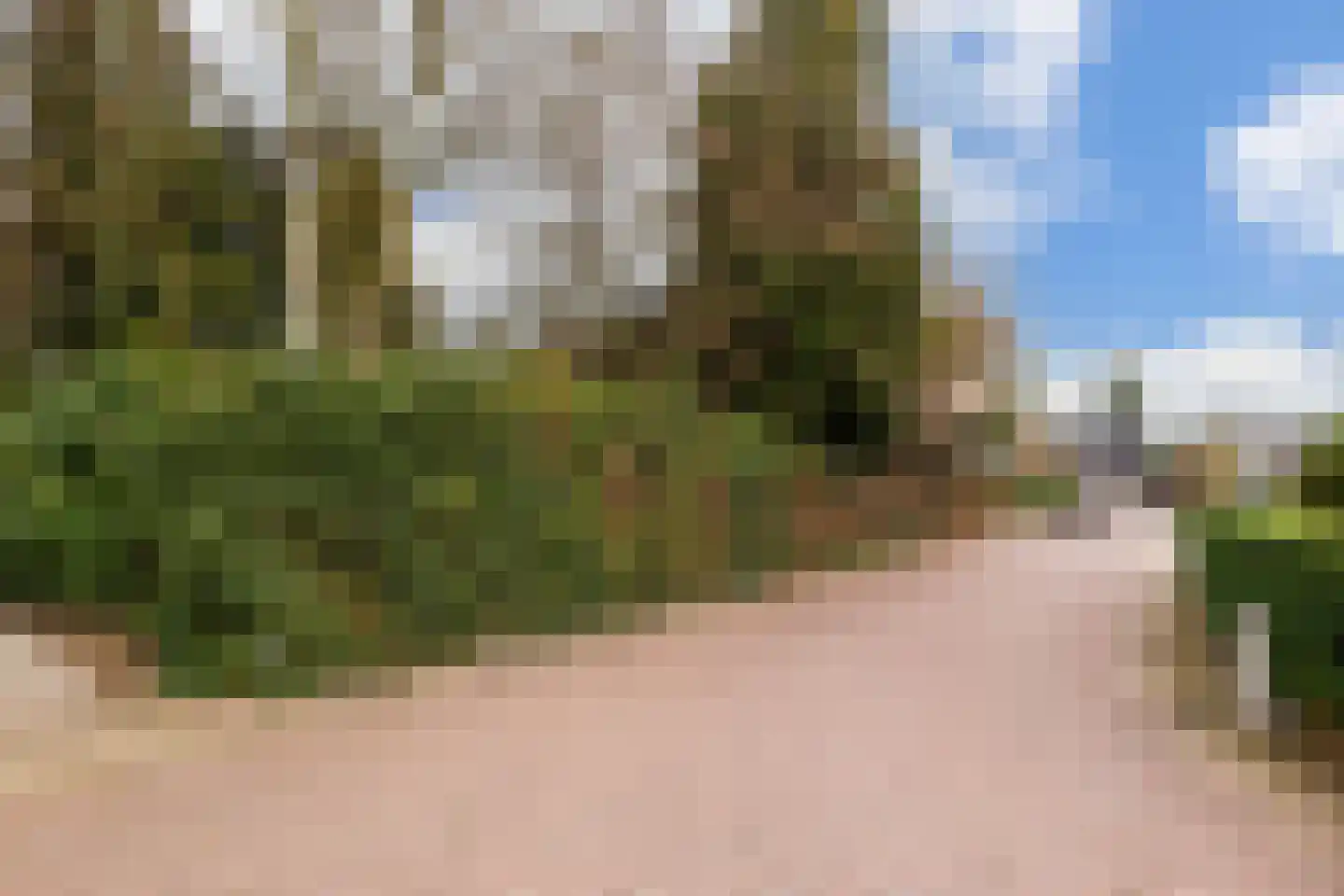 Havikshof 11 Ermelo thumbnail 53