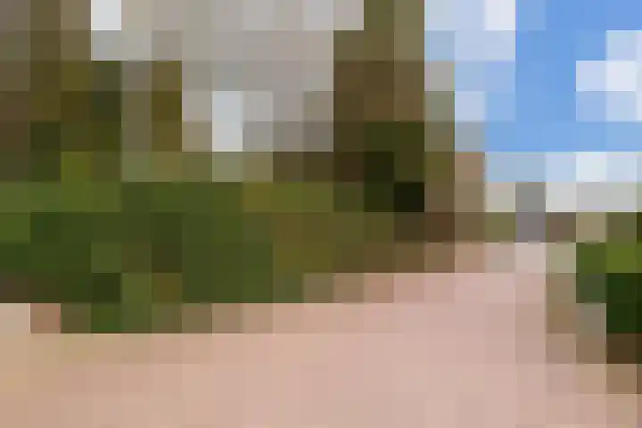 Havikshof 11 Ermelo thumbnail 53