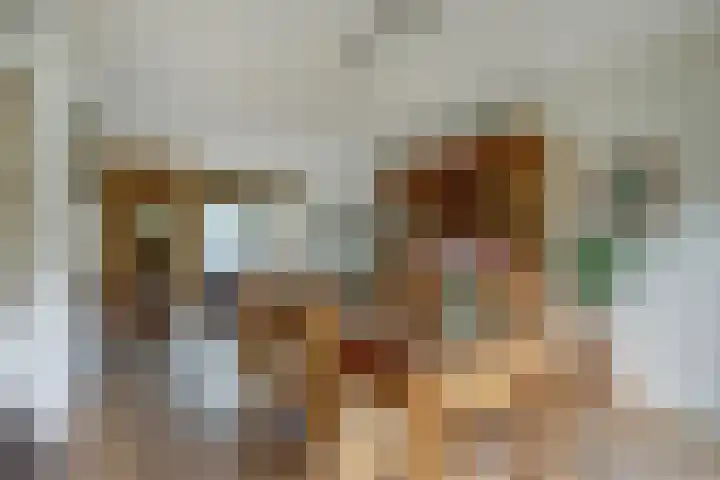 Havikshof 14 Ermelo thumbnail 12