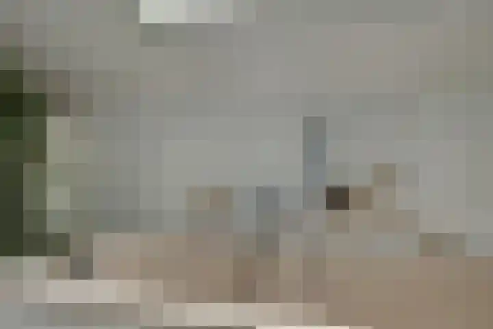 Havikshof 14 Ermelo thumbnail 28