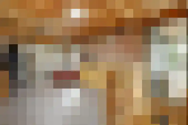Havikshof 14 Ermelo thumbnail 30