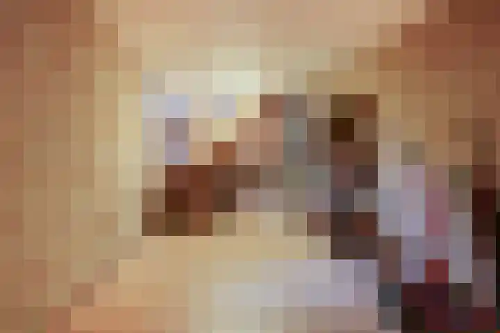 Havikshof 14 Ermelo thumbnail 31