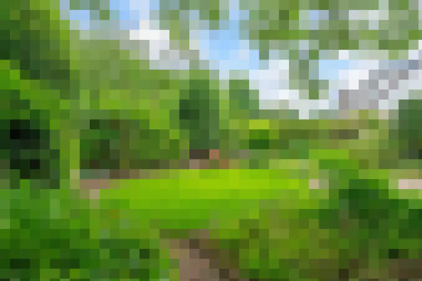 Havikshof 16 Ermelo thumbnail 39