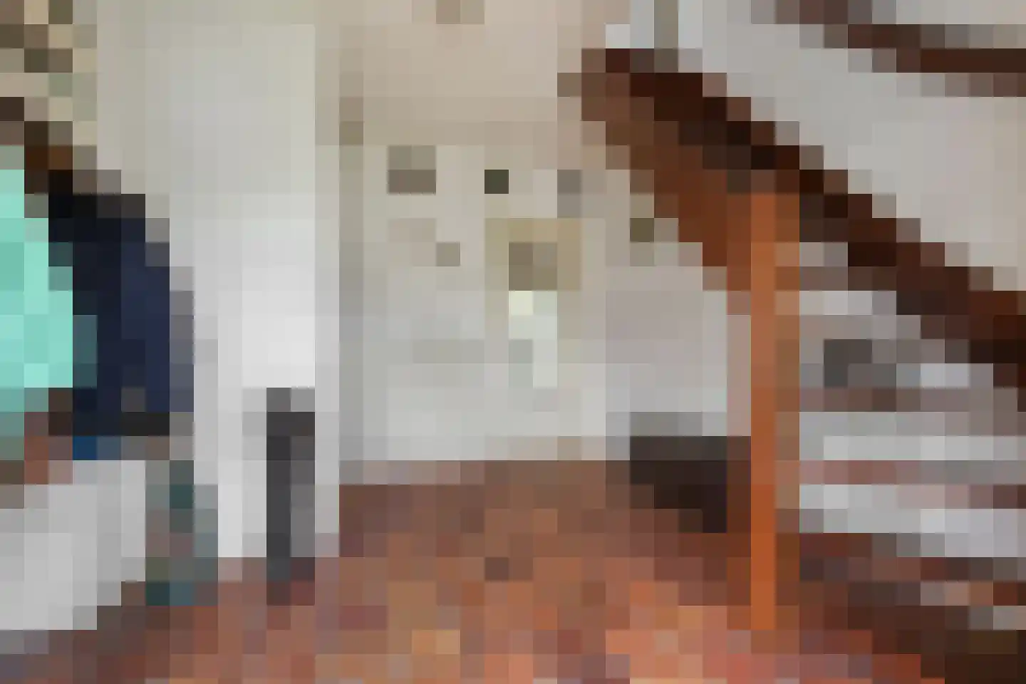 Havikshof 16 Ermelo thumbnail 7