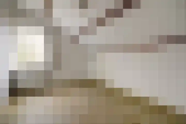 Havikshof 27 Ermelo thumbnail 25