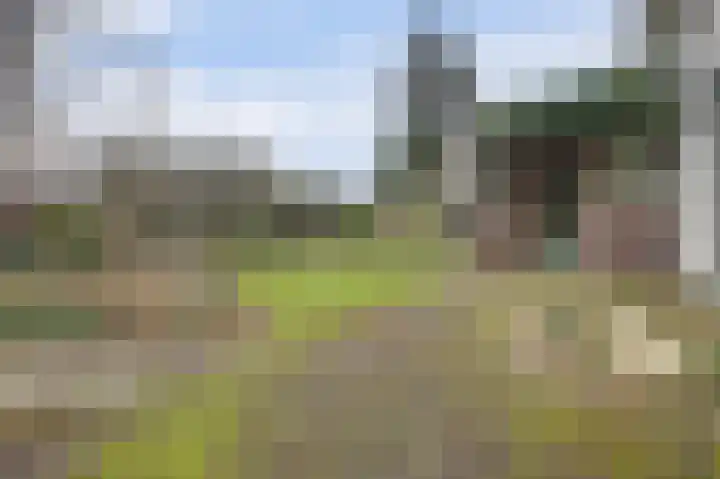 Havikshof 27 Ermelo thumbnail 35