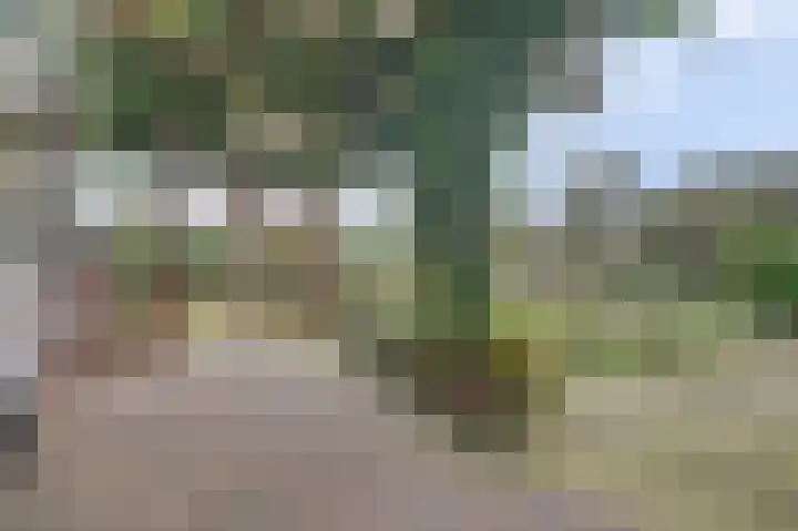 Havikshof 27 Ermelo thumbnail 36