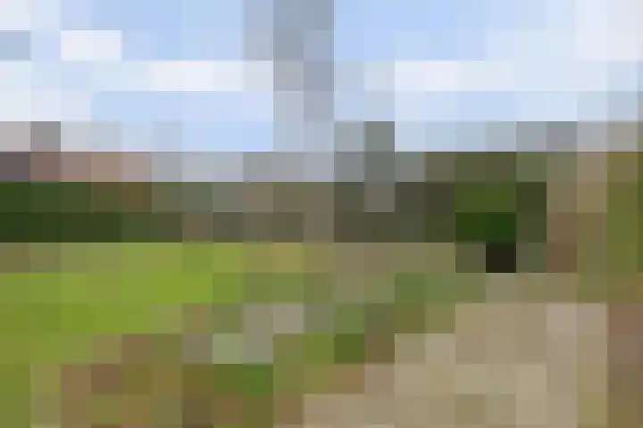 Havikshof 27 Ermelo thumbnail 37