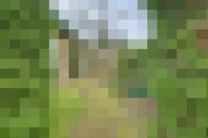 Havikshof 27 Ermelo thumbnail 38